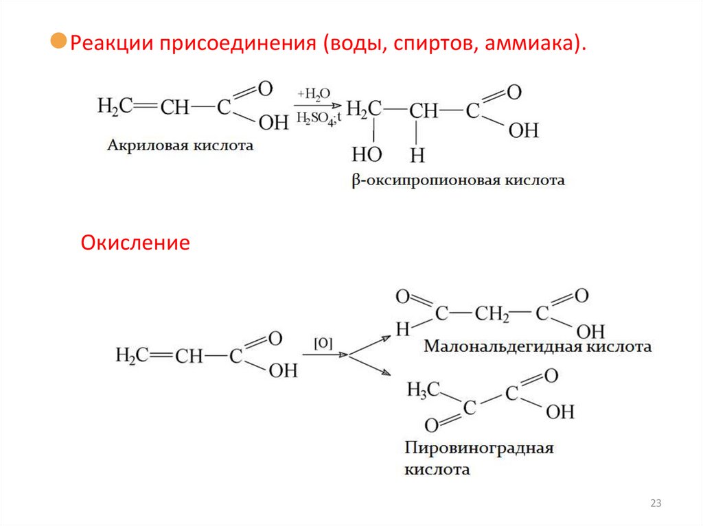 Белки характерные реакции. Двухосновная кислота из Алкина. Изобразитн строение карб кислот бут 2 ендиовая кислота.