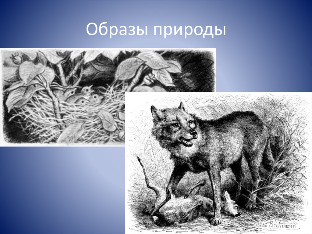 Кому на Руси жить хорошо: Матрёна Тимофеевна - online presentation