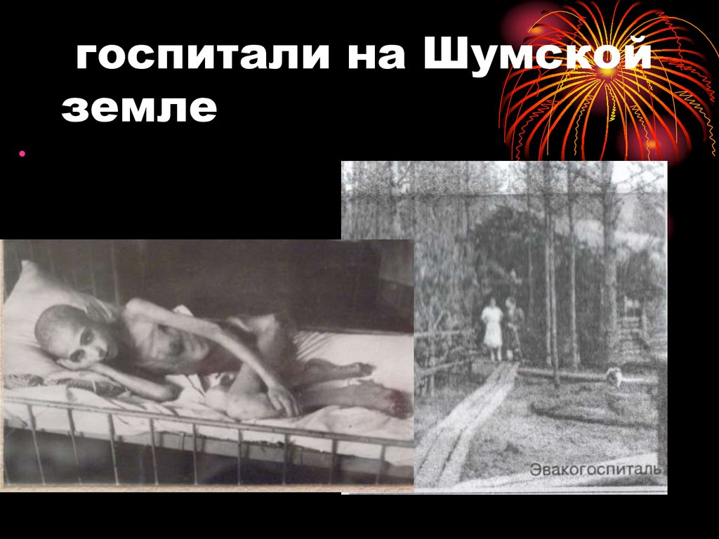 госпитали на Шумской земле