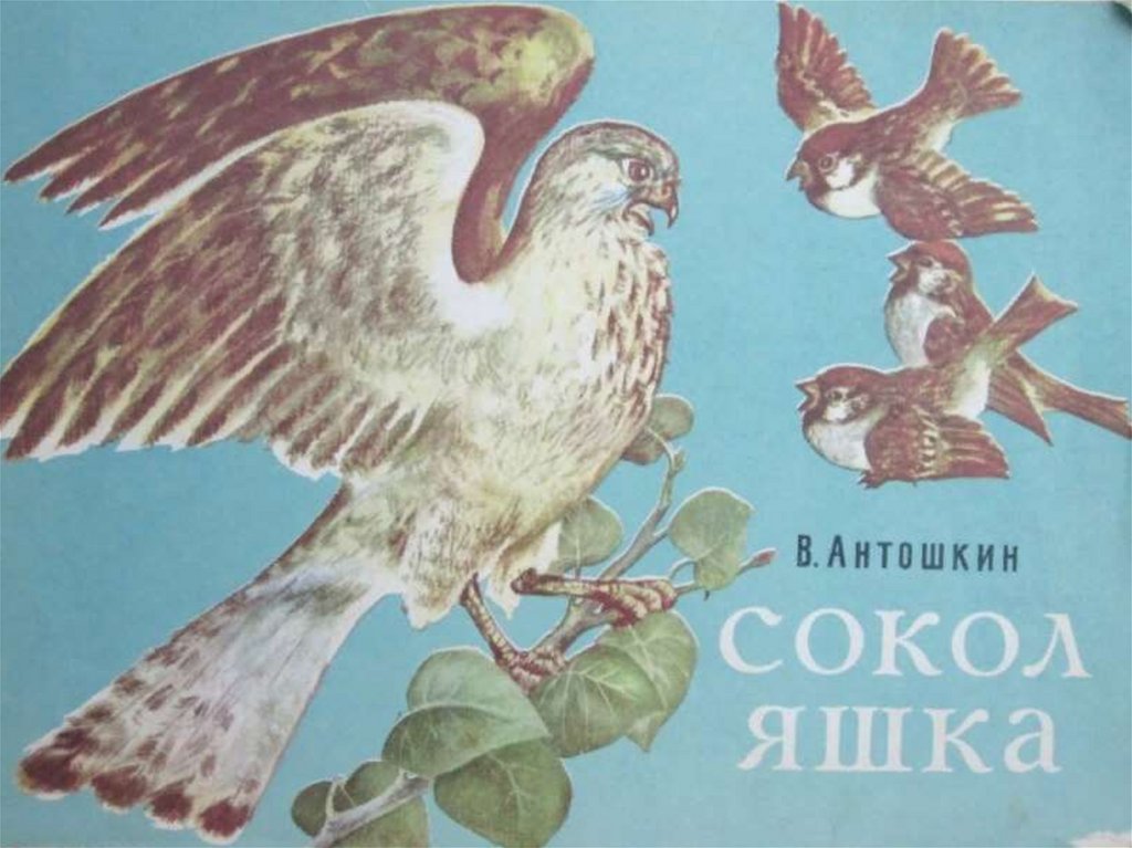 Ничего яшка. Детские книги Яшка. Рисунок к произведению Яшка. Княжек Яшка. Произведение Яшка птица изображение.