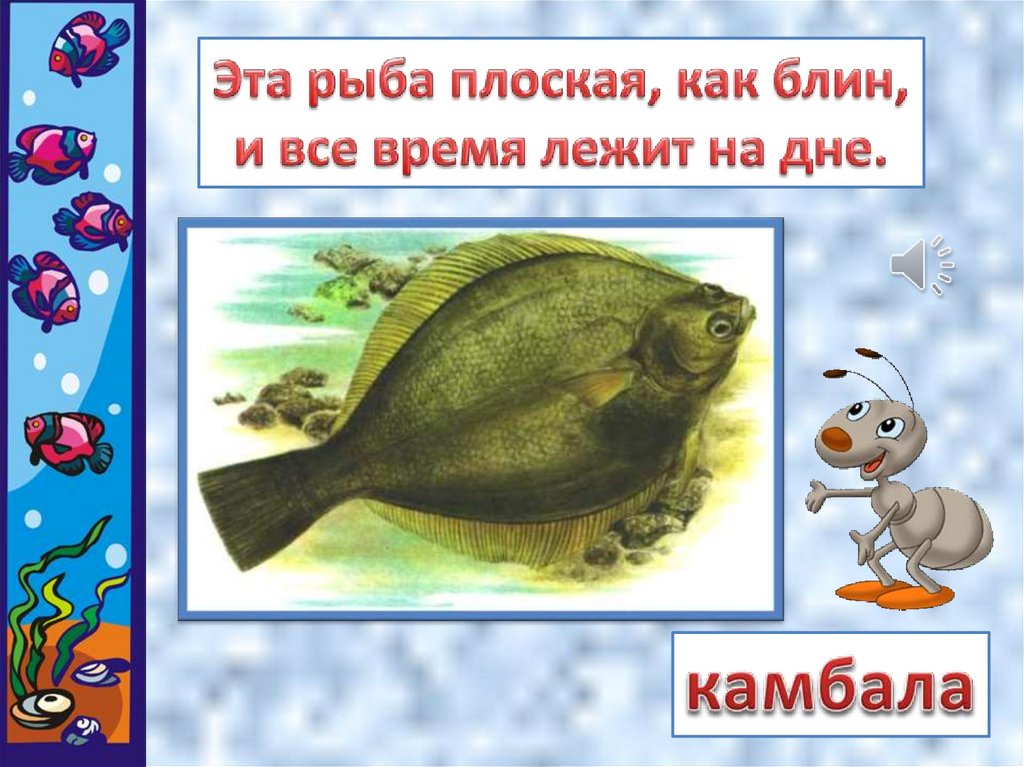 Рыбы презентация для детей. Презентация к уроку рыба. Рыбы окружающий мир. Рыбы 1 класс. Рыбы 1 класс окружающий мир презентация.