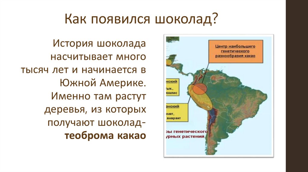 Шоколад полезное или вредное лакомство проект презентация