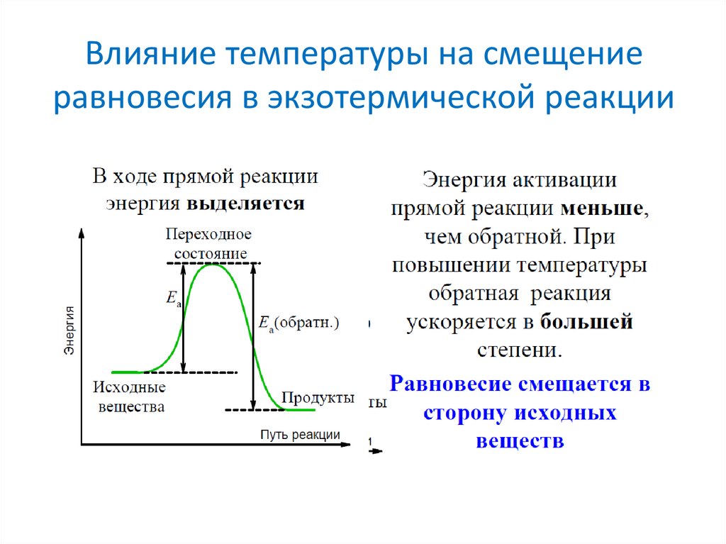 Экзотермическая реакция повышение температуры. Влияние температуры. Влияние температуры на белок. Влияние температуры на состояние равновесия. Влияние температуры на равновесие экзотермической реакции.