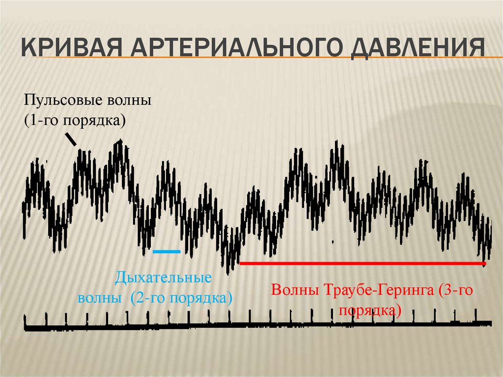 Анализ кривых