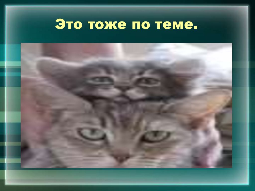 Это тоже по теме.