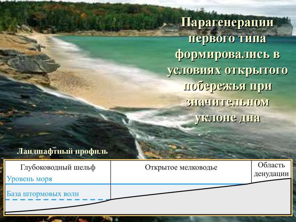 Парагенерации первого типа формировались в условиях открытого побережья при значительном уклоне дна