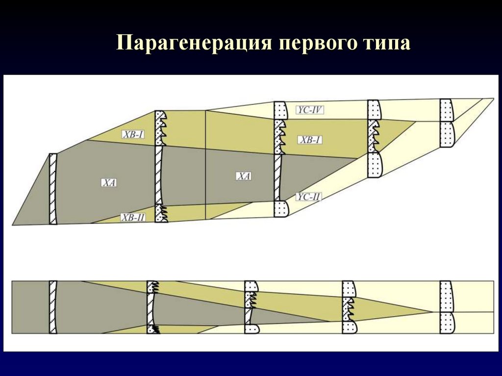 Парагенерация первого типа