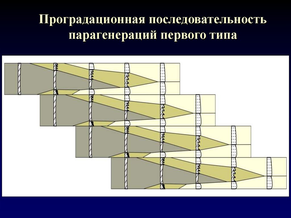 Проградационная последовательность парагенераций первого типа