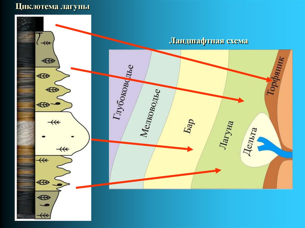 Циклотема лагуны