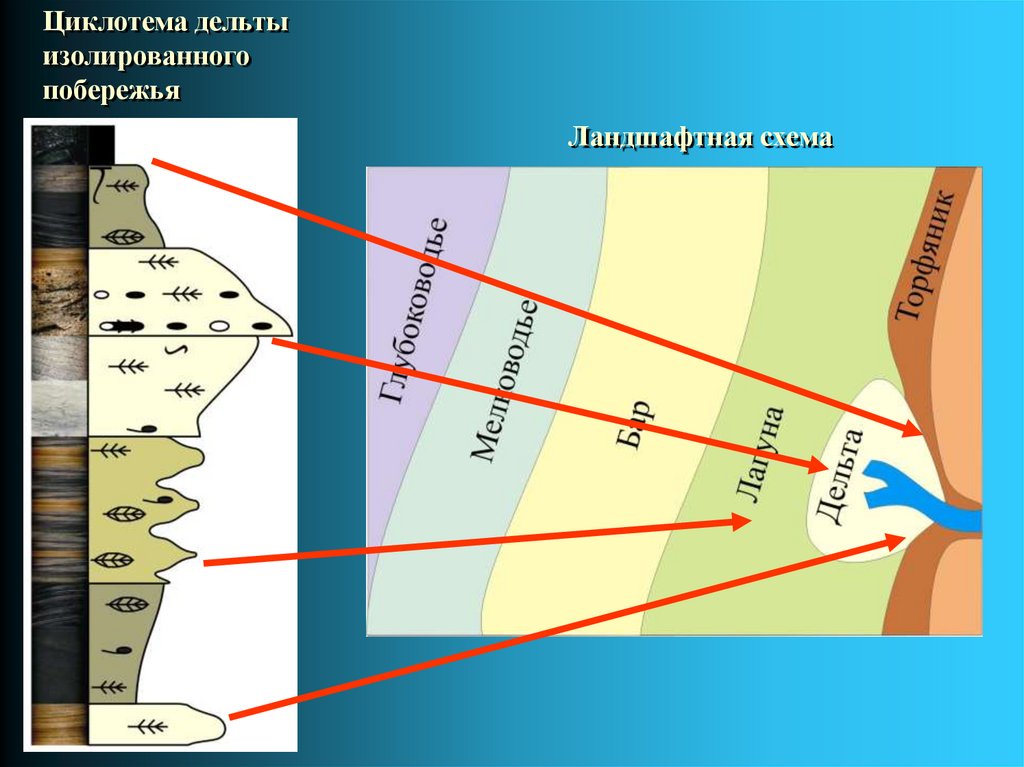 Циклотема дельты изолированного побережья