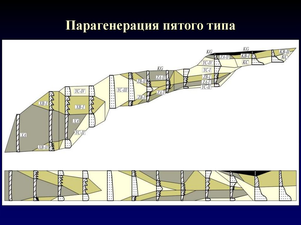 Парагенерация пятого типа