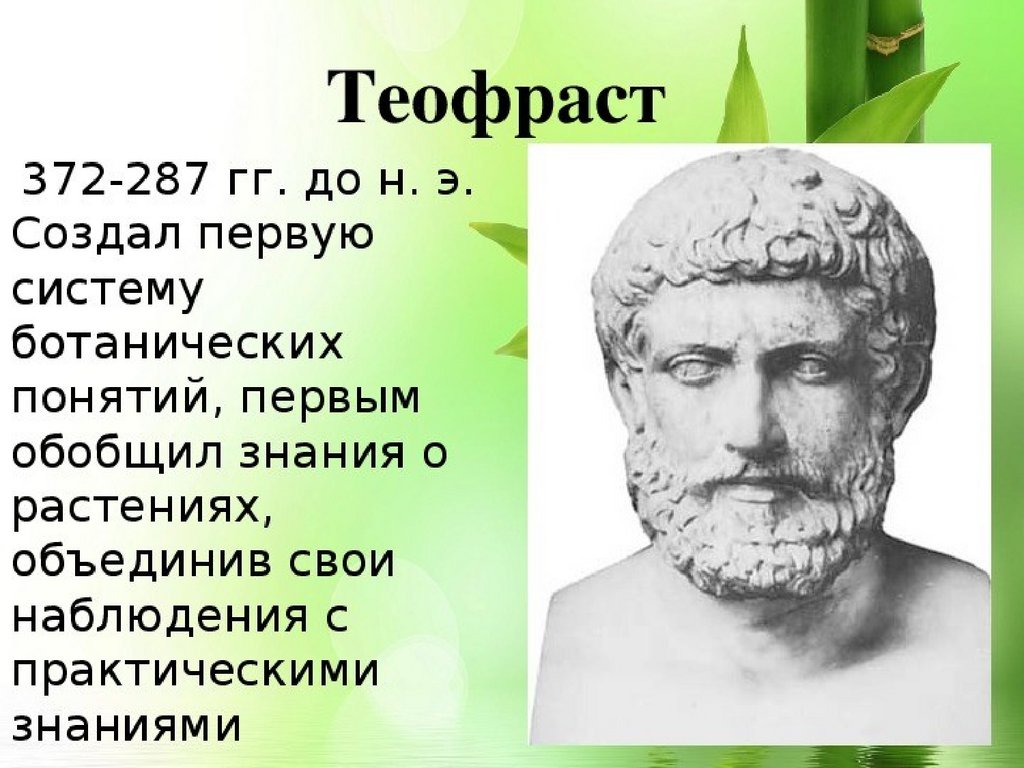 5 класс великие. Теофраст (372-287 гг. до н. э.). Теофраст (372–287 гг. до н.э.) «история растений». Теофраст естествоиспытатель. Великий естествоиспытатель Теофраст.