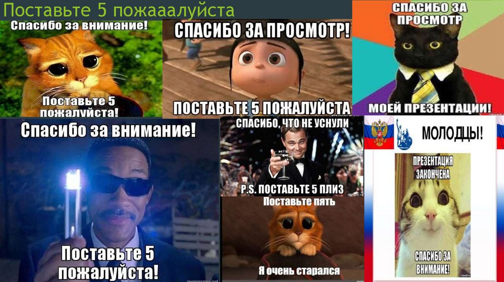 Поставьте 5 пожааалуйста