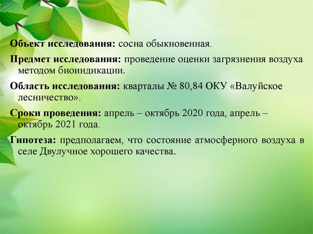 План исследовательской работы «оценка состояния древостоя парка». Биоиндикация хвойного леса. Актуальность исследования «оценка состояния древостоя парка». Биоиндикация воздуха.