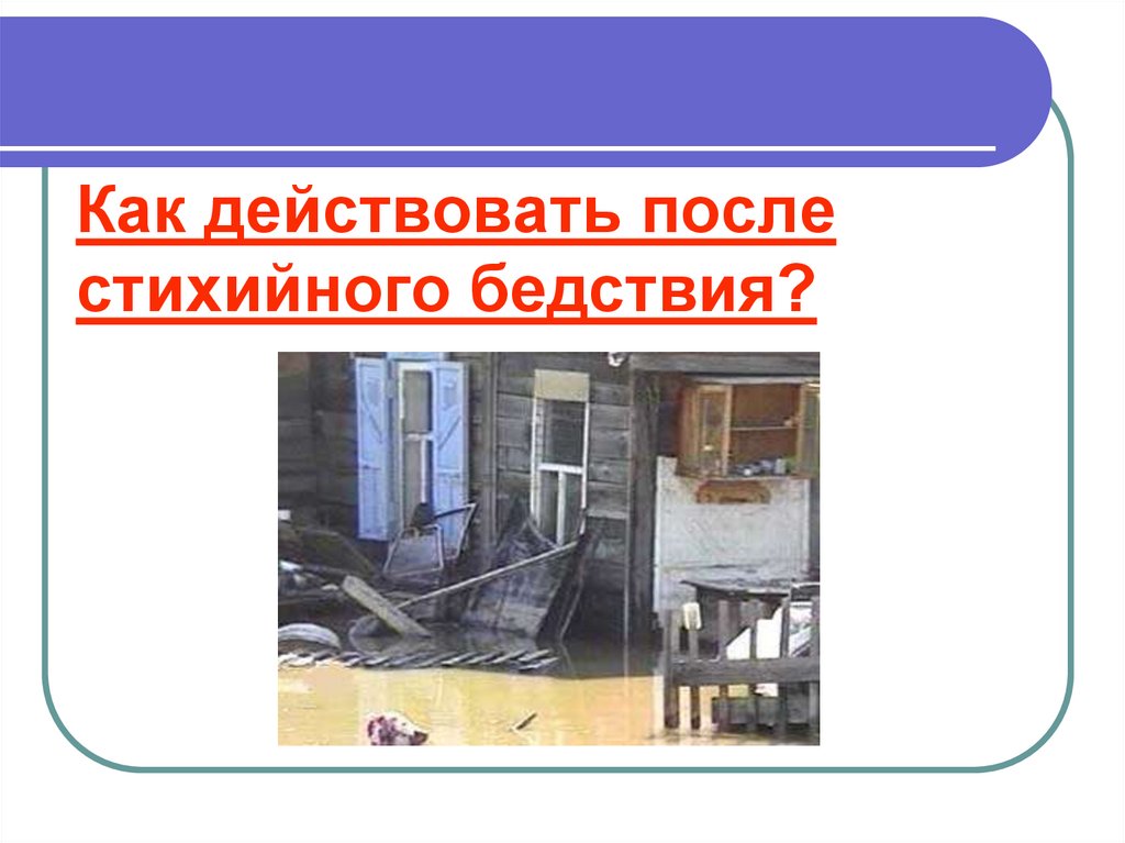 Как действовать после. Подготовка к стихийному бедствию наводнение. Формы поведения детей после стихийного бедствия. Характеристика поведение детей после стихийного бедствия. Как бронируют окна от стихийного бедствия.