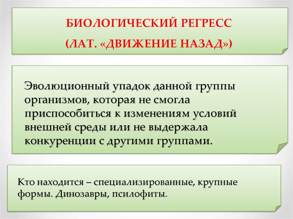 Основные направления эволюции презентация