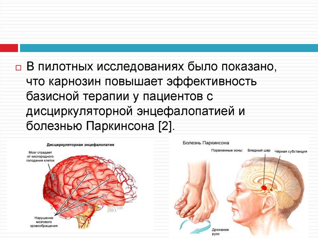 Хтэ это. Дисциркуляторная энцефалопатия. Дисциркуляторные изменения головного мозга что это такое. Дэп 2 степени что это такое. Метаболизация карнозина.