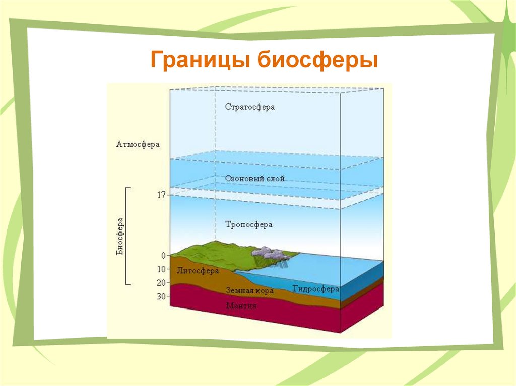 Верхняя граница в атмосфере определяется высотой. Границы биосферы. Границы биосферы граница. Верхняя граница биосферы. Границы биосферы таблица.
