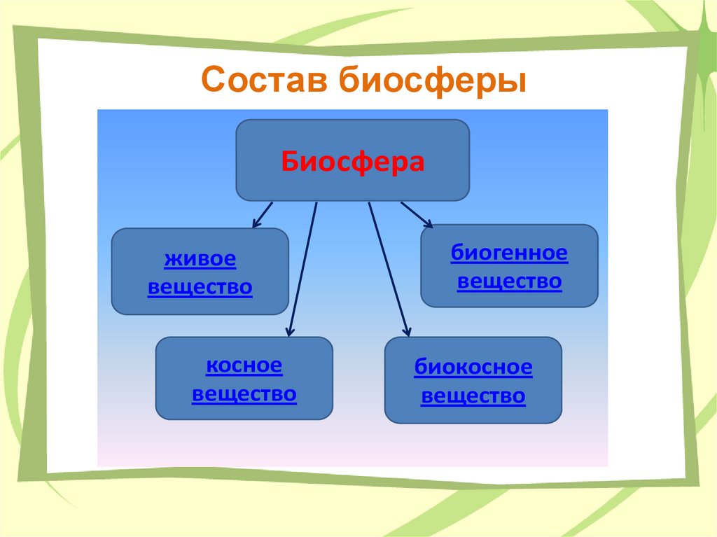 Почва какое вещество биосферы. Структура биосферы. Состав биосферы. Биосфера состоит из экосистем. Глаголы к слову Биосфера.