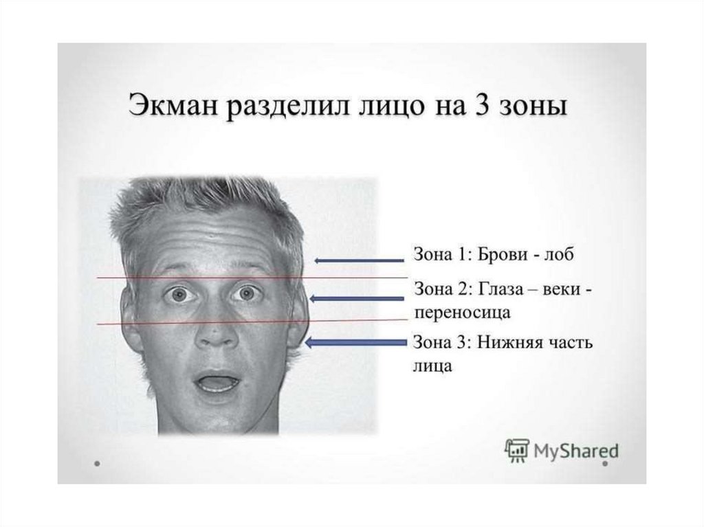 Эмоции пол экман презентация