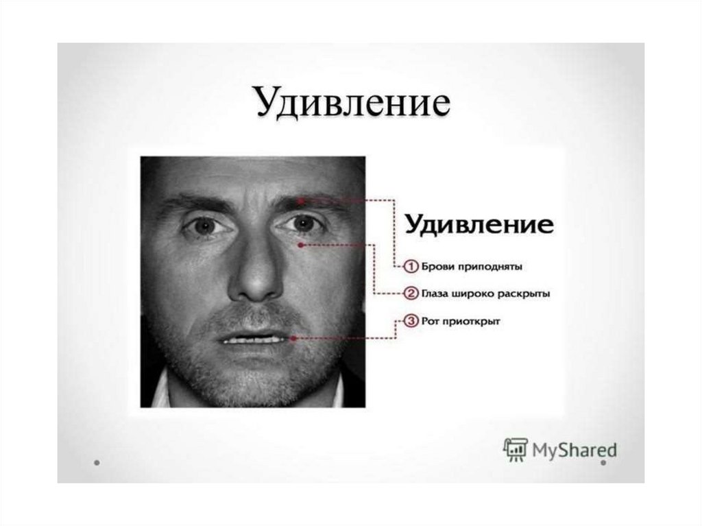 Lie to me face. Пол Экман микровыражения. Пол Экман микровыражения лица. Пол Экман базовые эмоции. Мимика эмоций пол Экман.