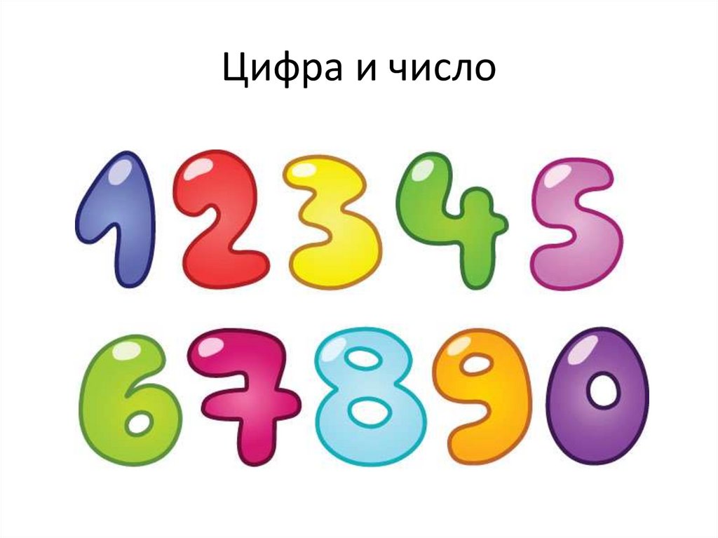 Многообразие чисел