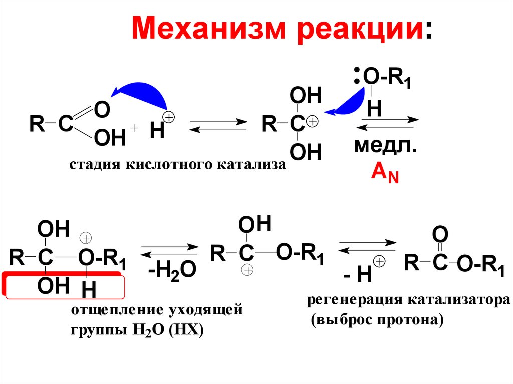 Реакция св. Реакция Перкина механизм. Галоформная реакция механизм реакции. Реакция Перкина для альдегидов механизм. Механизм реакции получения сложных эфиров.