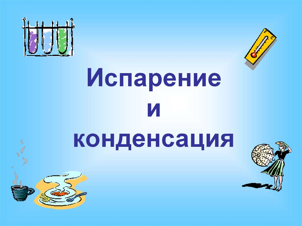 Испарение и конденсация в живой природе проект