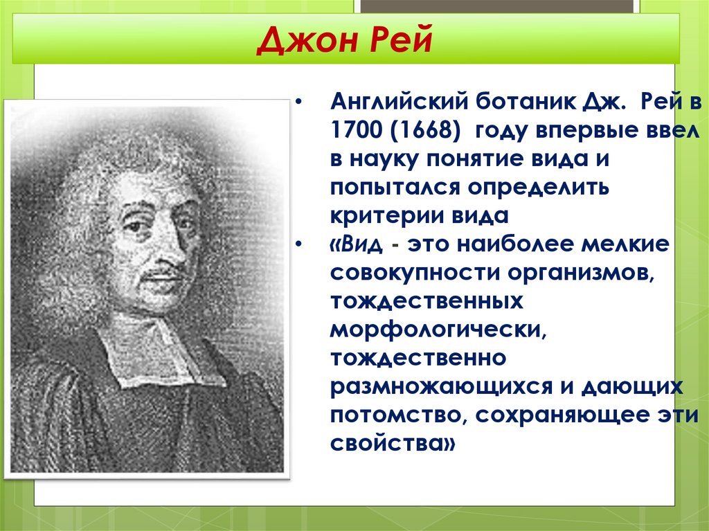 Впервые ввел термин. Английский ботаник Рей. Понятие вид ввел в науку. Кто впервые ввел понятие вид. Кто ввел в науку термин «вид»?.