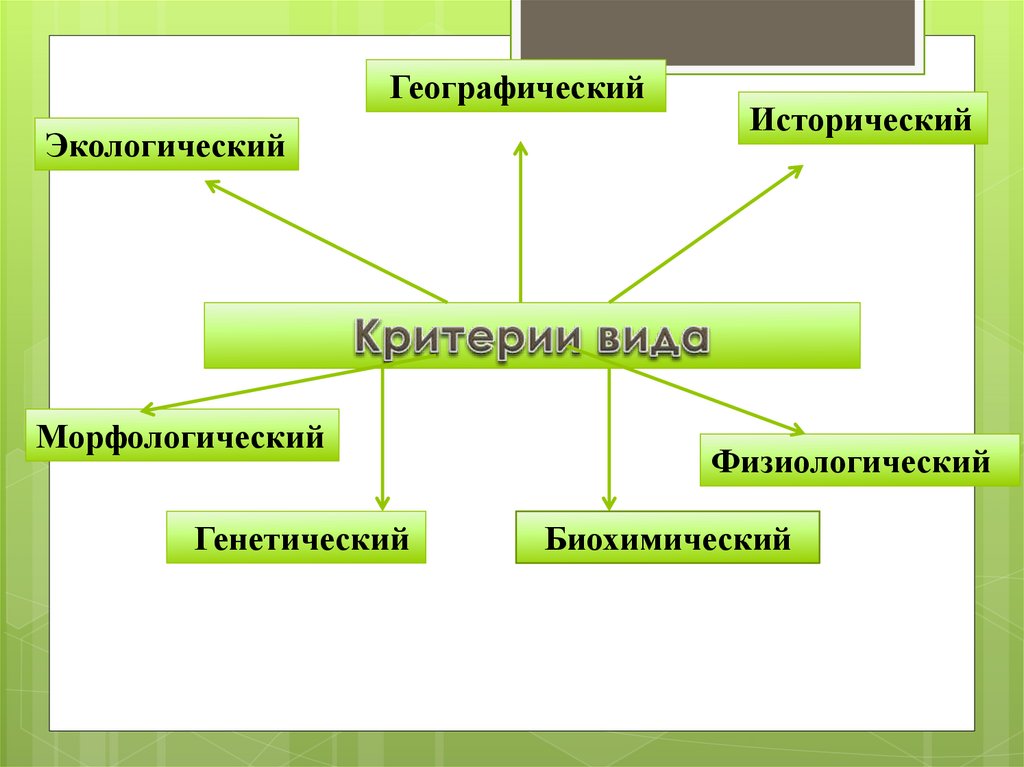 Физиологический вид. Морфологический физиологический экологический географический. Морфологический и экологический критерии. Морфологический и физиологические критерии вида. Физиологический и экологический критерии вида.