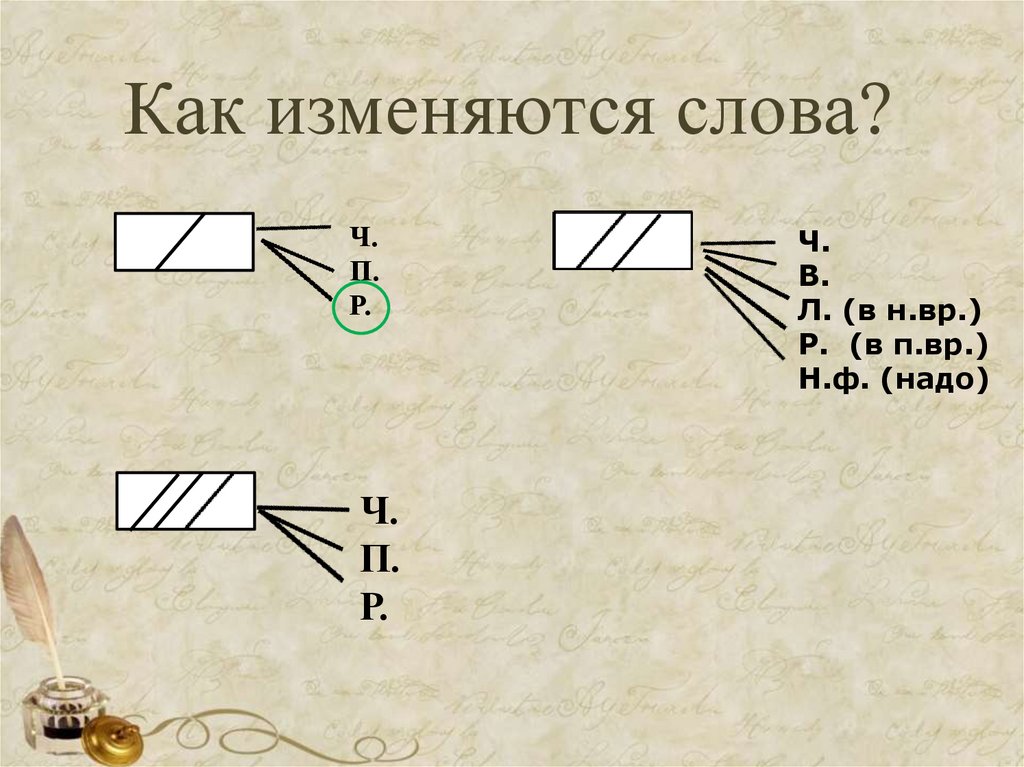 Как изменяются слова?