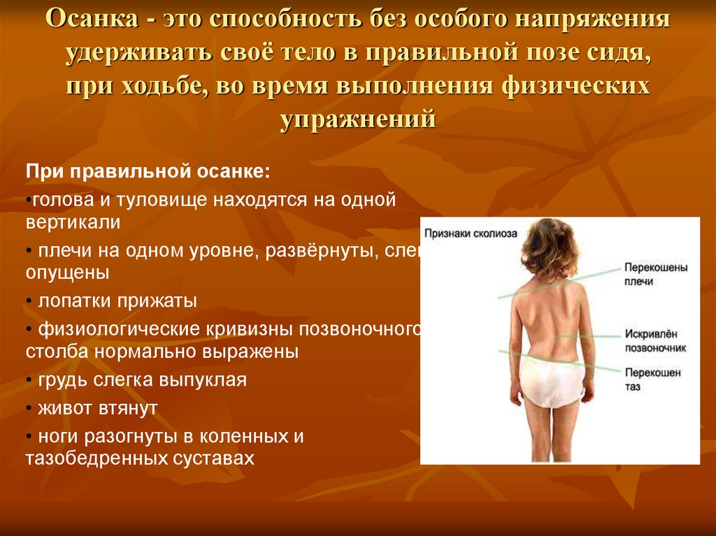 Осанка - это способность без особого напряжения удерживать своё тело в правильной позе сидя, при ходьбе, во время выполнения