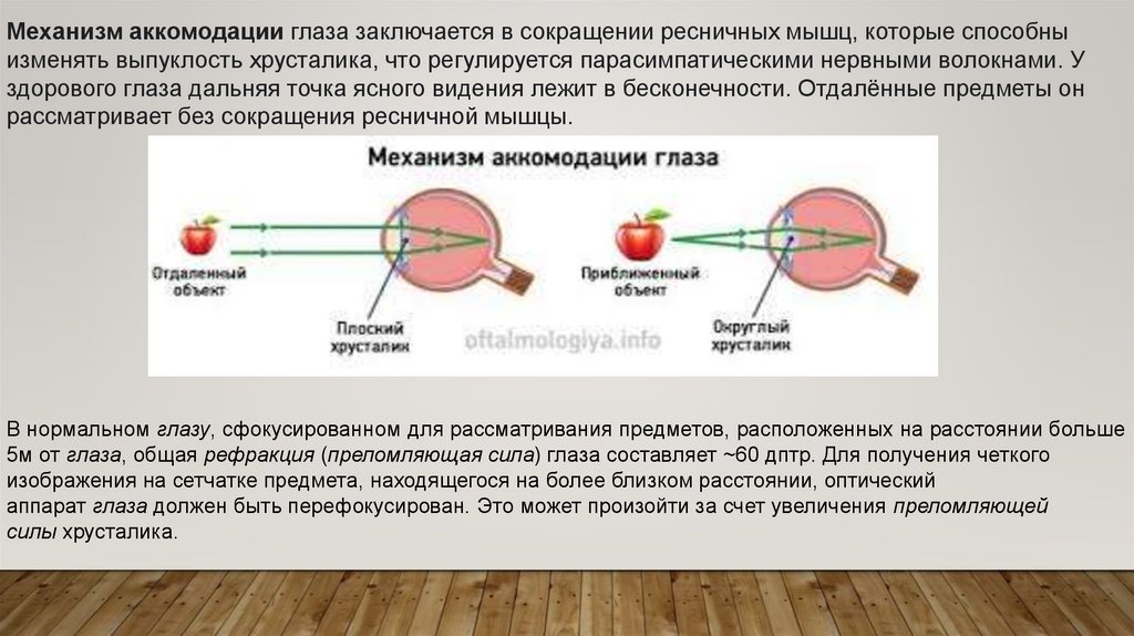 Аккомодация предметов