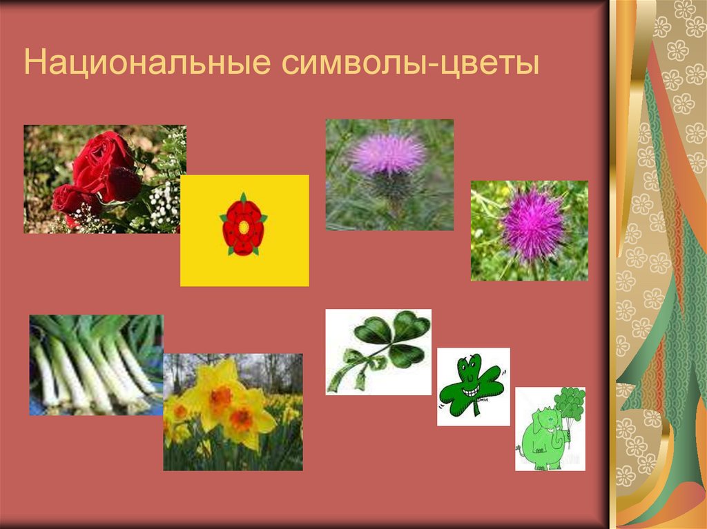 Растение символ страны