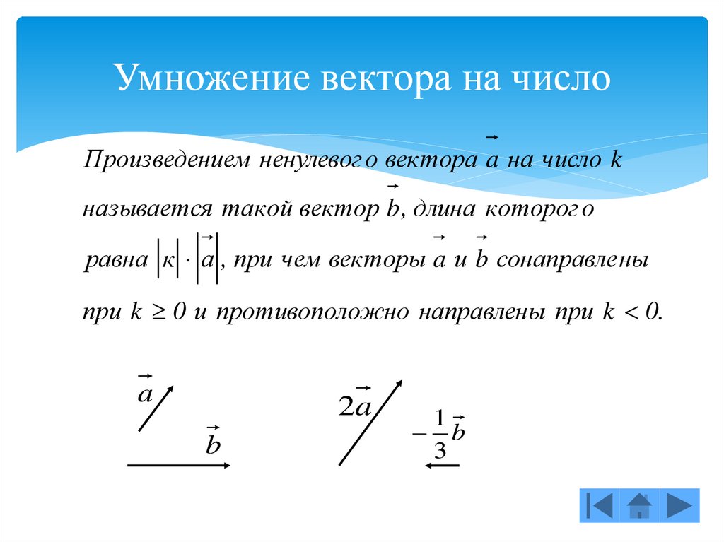 Вектор умножить на вектор