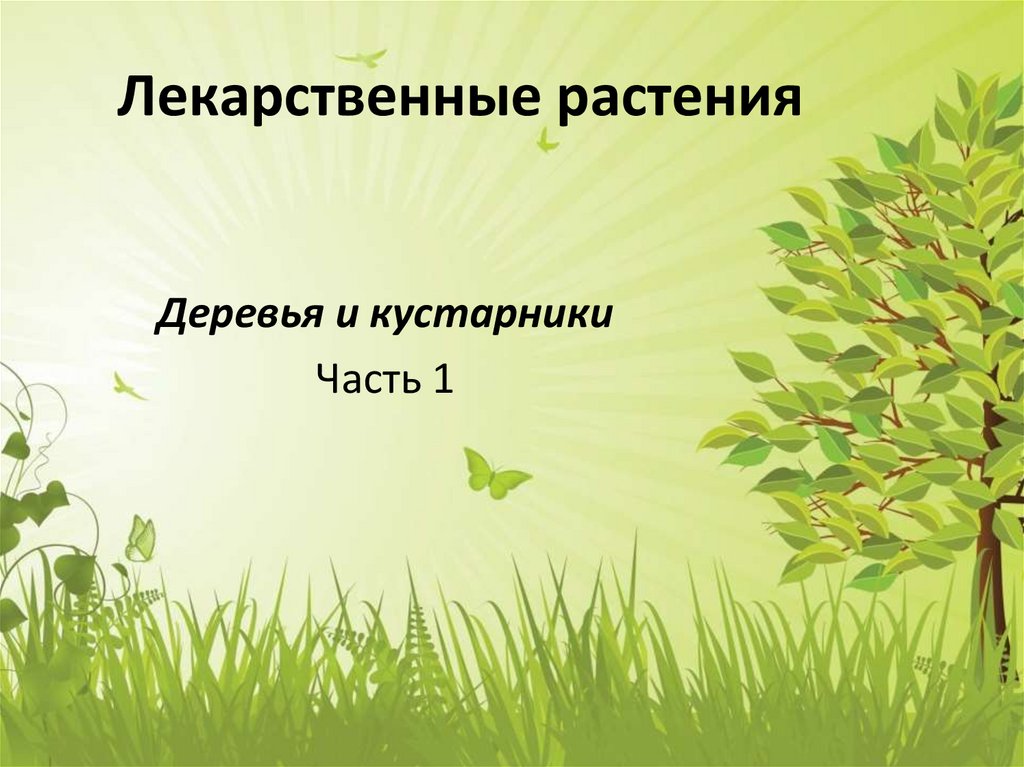 Зона где растительность из деревьев кустарников трав. Лекарственные деревья и кустарники. Лекарственные растения это травы деревья.