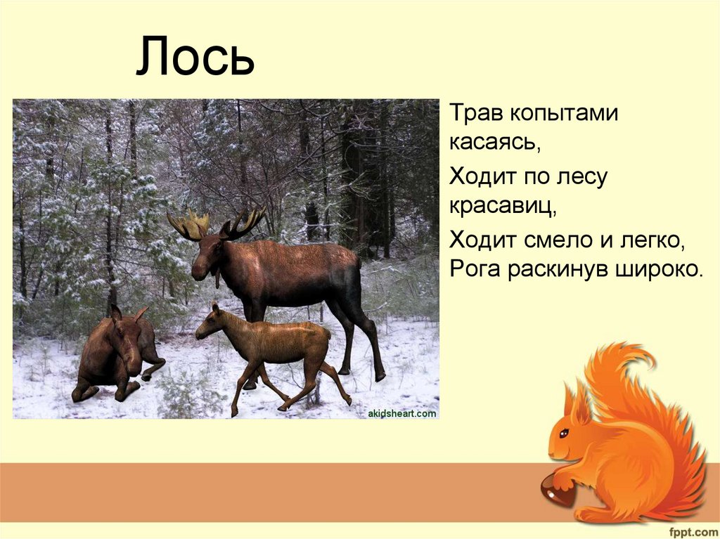 Лось