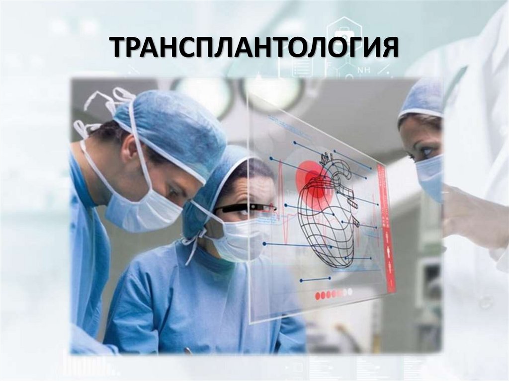 ТРАНСПЛАНТОЛОГИЯ