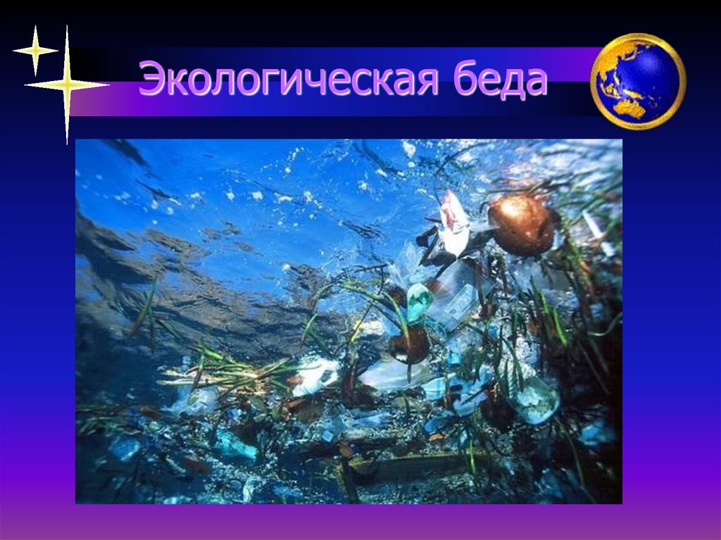 Экологическая беда