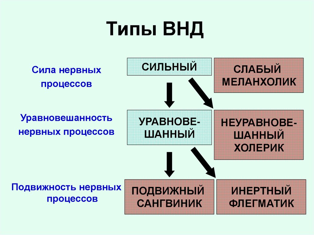 Типы основ