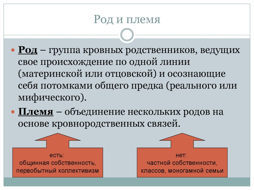 Группа кровных родственников. Род племя. Социальная группа род племя. Племя как социальная группа. Группа кровных родственников ведущих свое происхождение.