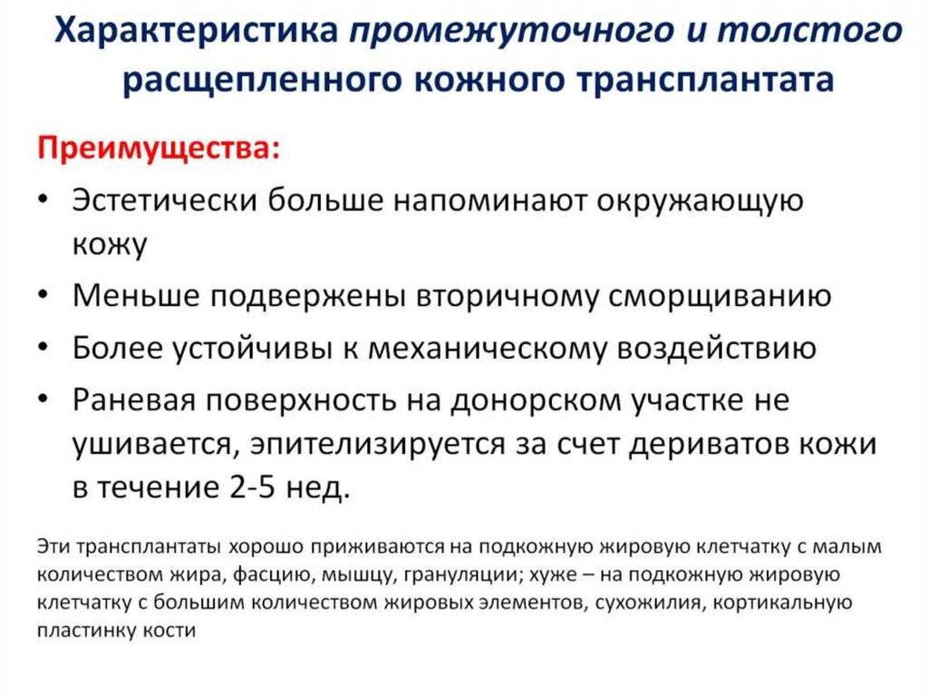 Характеристика промежуточного и толстого расщепленного кожного трансплантата