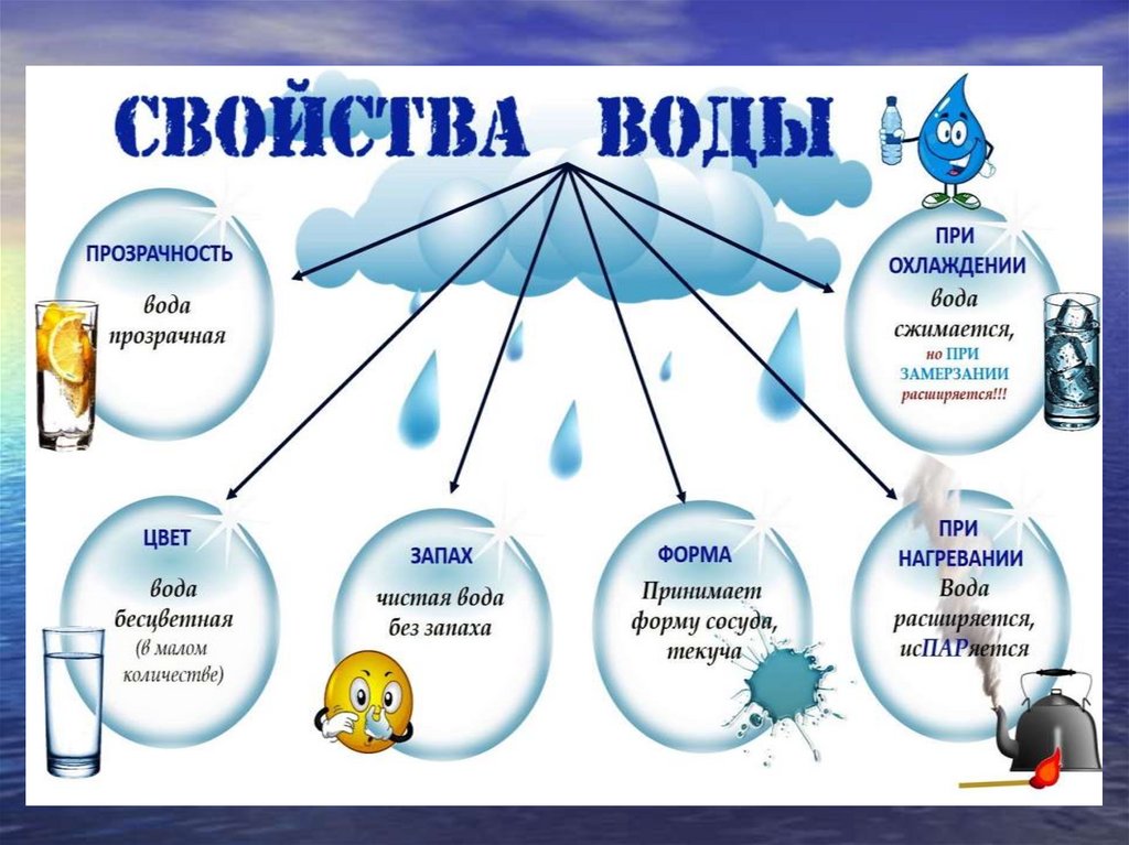 Практическое занятие 3