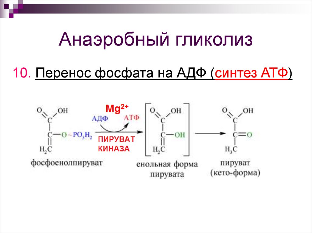 Реакция окисления гликолиза. Анаэробный гликолиз схема. Схема схема анаэробного гликолиза. Аэробный гликолиз. Схема гликолиза биохимия.