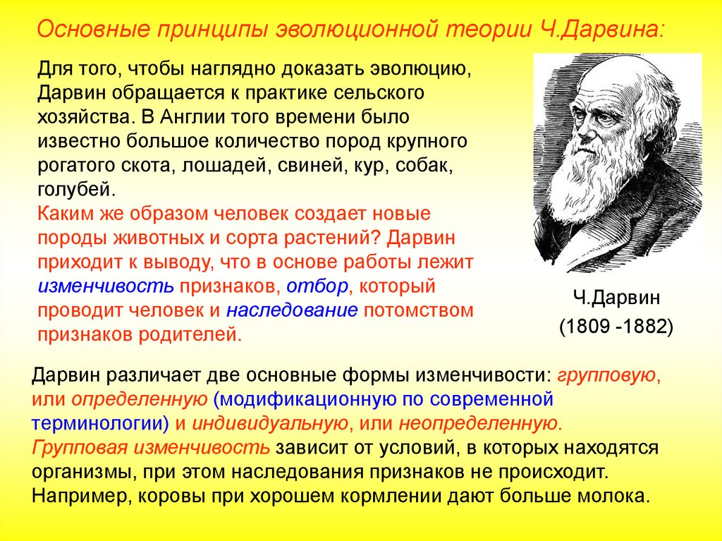 Первой эволюционной теорией является. Основные теории эволюционной ч Дарвина. Эволюционная теория Чарльза Дарвина. Идеи Чарльза Дарвина об эволюции. Основные принципы эволюционного учения Дарвина.