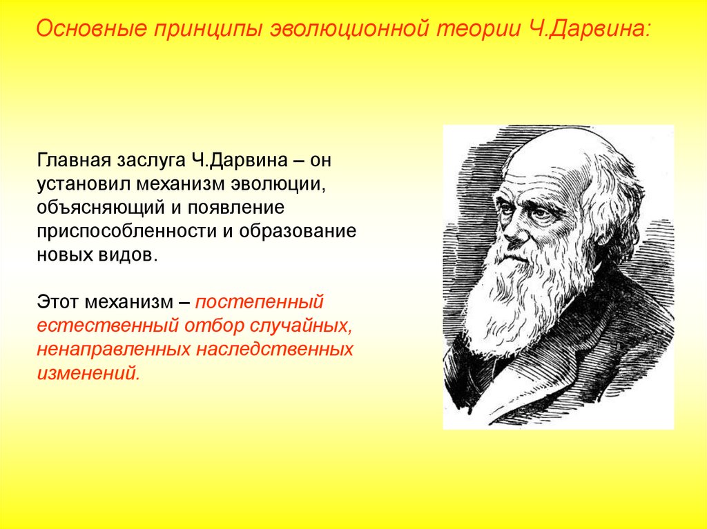 Первой эволюционной теорией является. Идеи Чарльза Дарвина об эволюции. Становление эволюционной теории Чарльза Дарвина. Ч Дарвин основные идеи.