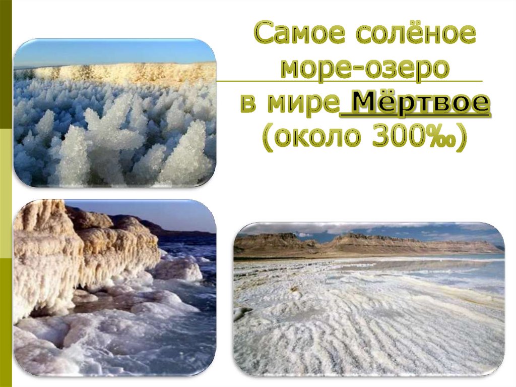 Какие воды самые соленые. Самое соленое море. Самое соленое море в мире. Солёное море в России. Самое соленое море в России.