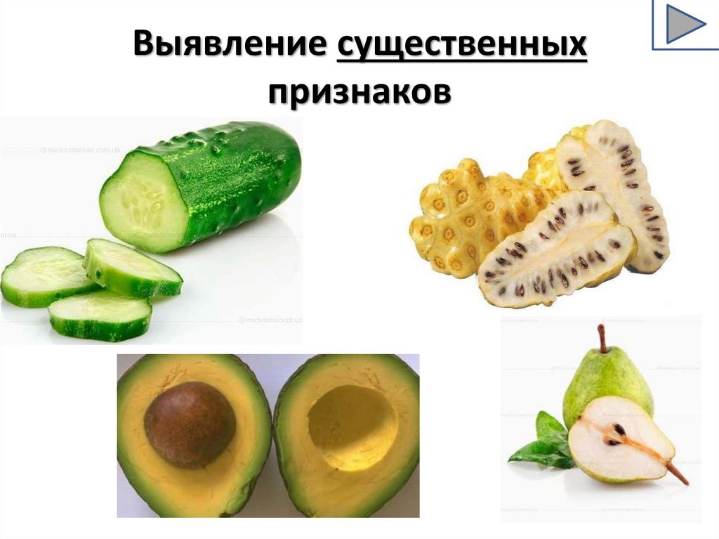 Выявление существенных признаков