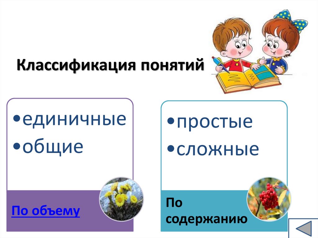 Классификация понятий