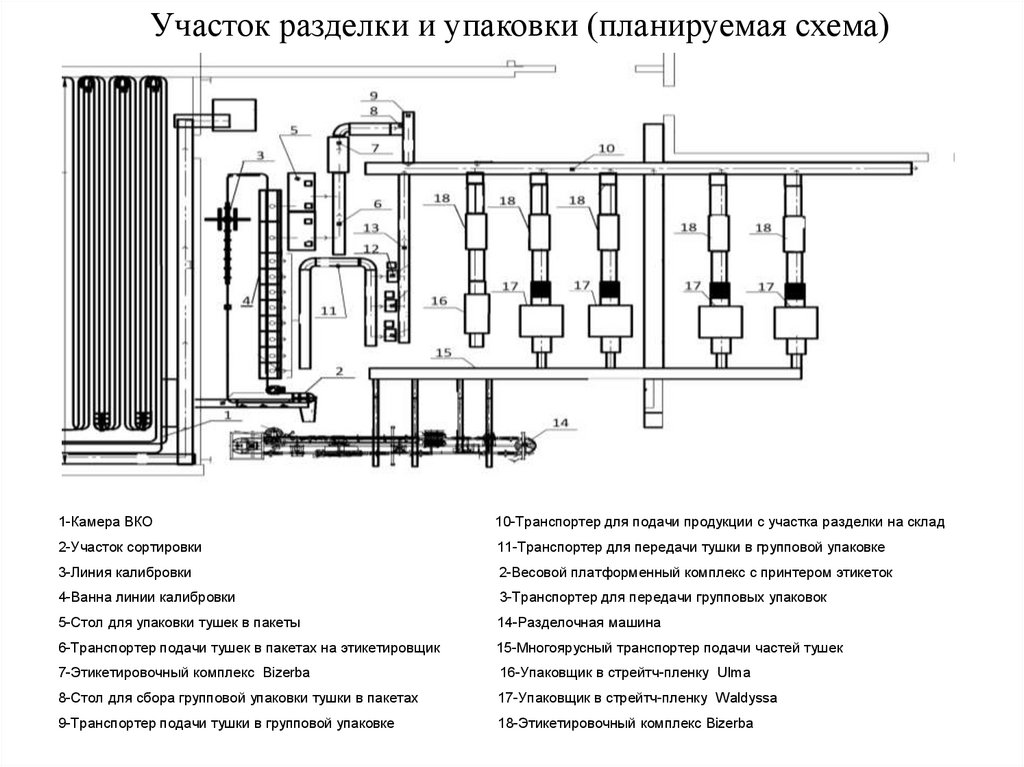 Технологическая схема убоя и переработки птицы